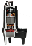 Champion Sewage Pump Internal View
