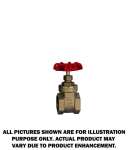 Gate Valve, Brass 1.25 Inch - Flo Pro