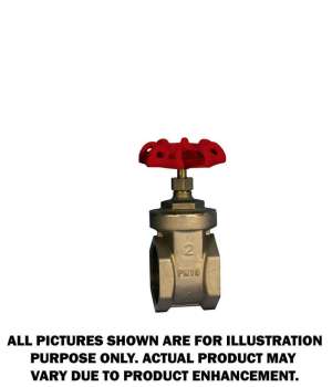 Flo Pro 2" Brass Gate Valve