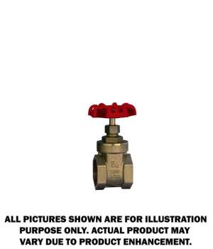 Flo Pro 1.25" Brass Gate Valve